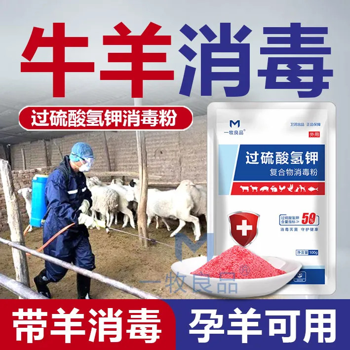 羊圈专用消毒液过硫酸氢钾消毒液养殖场专用猪场鸡舍牛羊圈消毒液