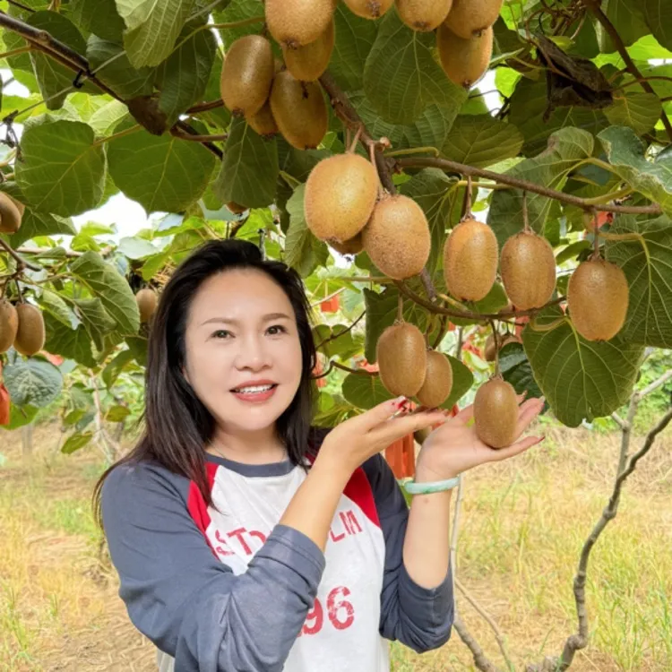 两箱正宗周至翠香猕猴桃甜蜜多汁细腻软糯彩箱发货坏果包赔
