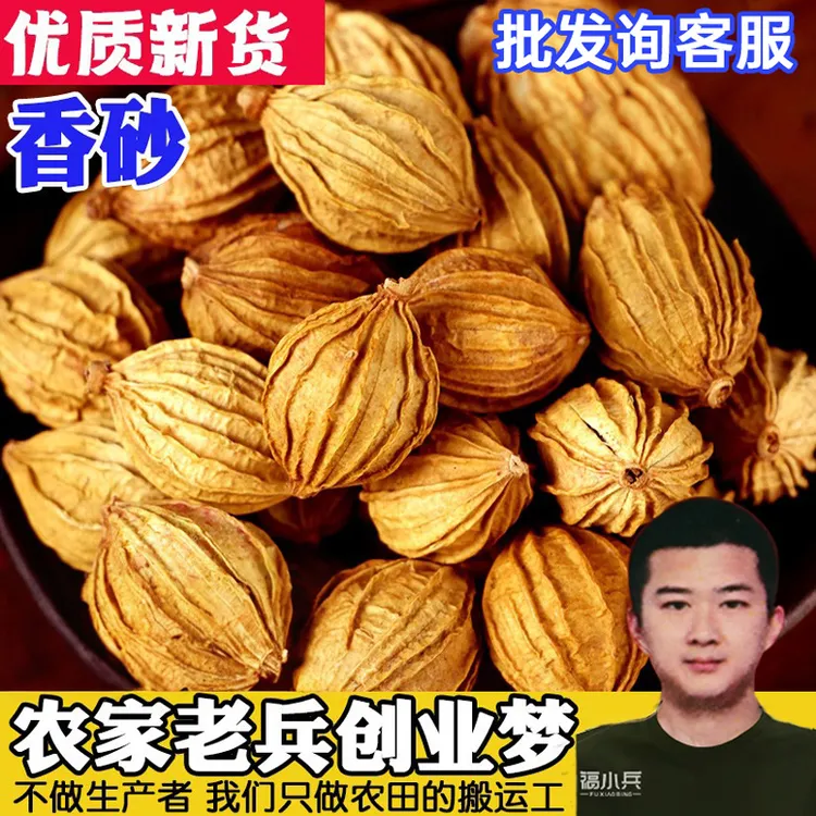 农家种川砂仁香砂仁砂仁四川金沙仁调料卤菜煲汤炖汤火锅川菜香料