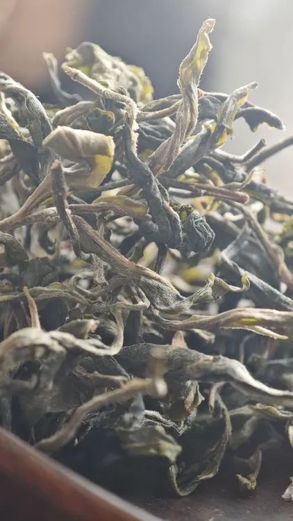 慧德名山正味2025年头春头采曼松王子山普洱生茶