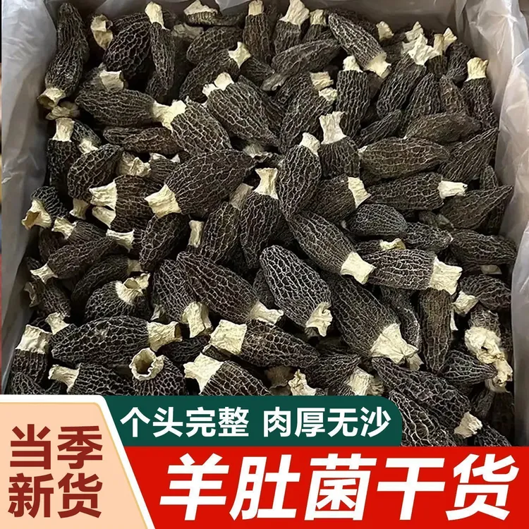 【净重无干燥剂】羊肚菌干货高山新鲜干羊肚菌批发百合食用菌煲汤