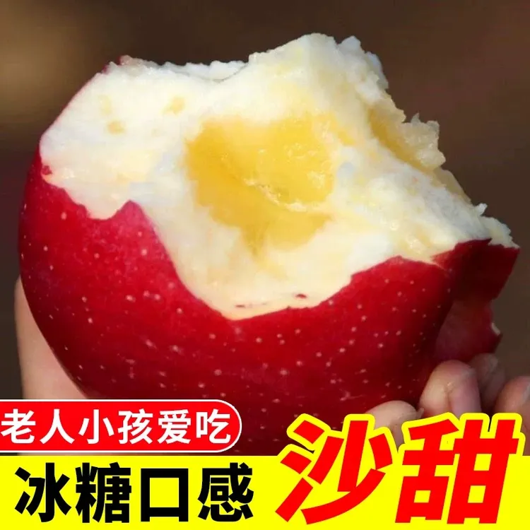 陕西高原苹果粉面沙甜红香蕉刮泥丑平果老人宝宝新鲜水果整箱商品图