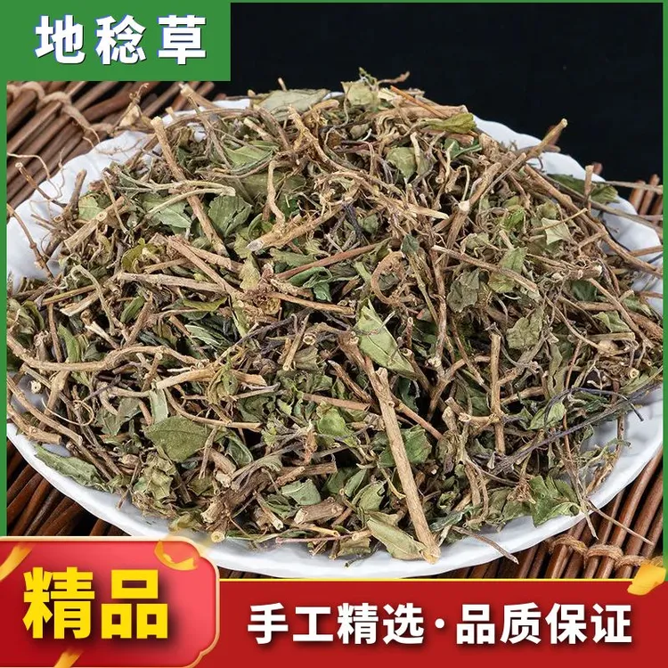 野生地稔草地捻草地念草地稔根铺地锦地念草新货500g-1000g包邮