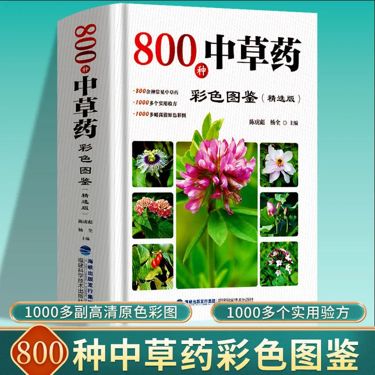 800种中草药彩色全图鉴精选版 中草药抓配彩图大全中药材大百科