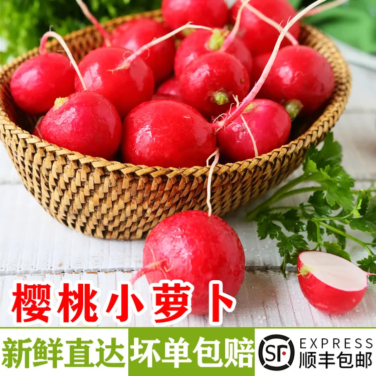 新鲜去叶樱桃萝卜1-5斤 迷你小红萝卜水果圆萝卜凉拌蔬菜沙拉食材