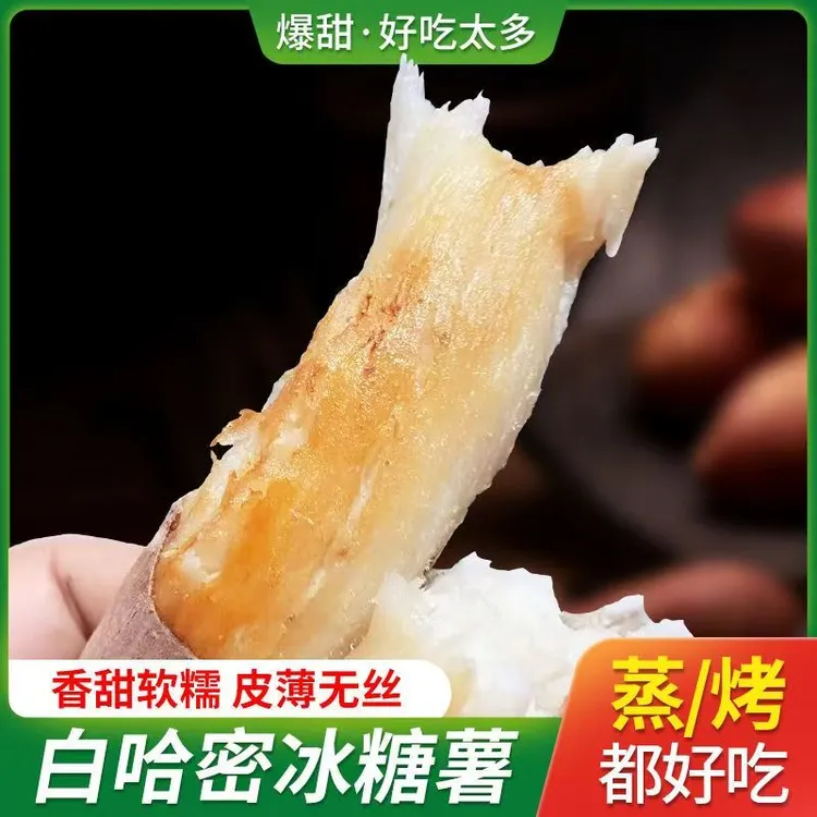 哈密冰糖薯2025年新鲜现挖哈密白心红薯香甜粉糯无丝冰糖心蜜薯