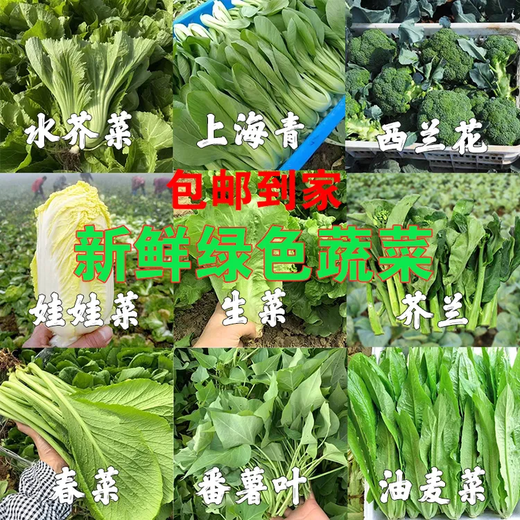 顺丰包邮农家菜园菜新鲜蔬菜时令绿叶菜火锅青菜农家冷链发货加冰