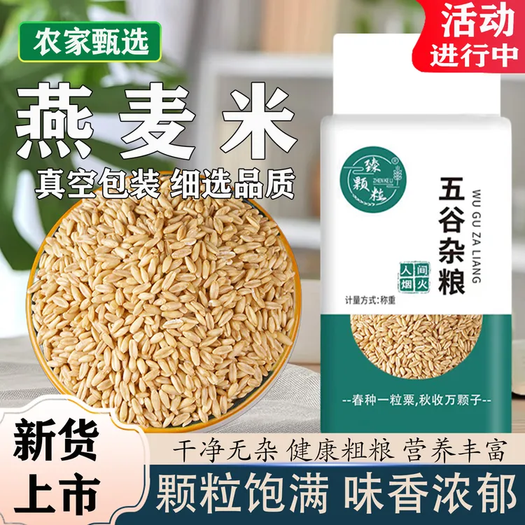 臻颗粒真空燕麦米2024年新米农家自种粗粮代餐杂粮软糯麦仁糙米饭
