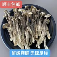【翠凤】鹿茸菇浓浓的菌香味爆炒肉片美味煲汤鲜美口感嫩爽脆