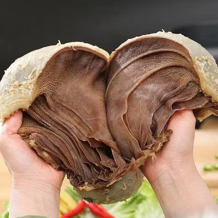 (净重3斤）新鲜带底板毛肚整块冰鲜脆爽精选牛百叶大刀火锅配菜