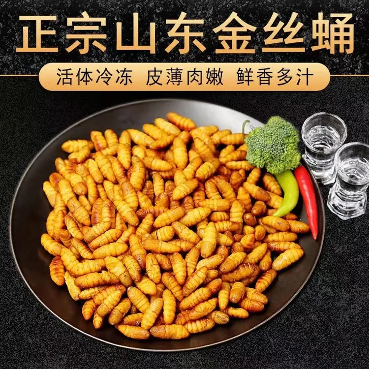 【顺丰包邮】正宗山东金丝蛹买多少送多少新鲜产地直发油炸煎炒饱满