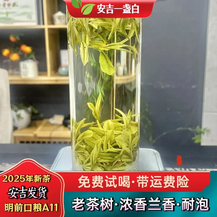 【浓兰香明前甜茶】口粮正宗安吉昆铜原产地发货春季25白茶A11