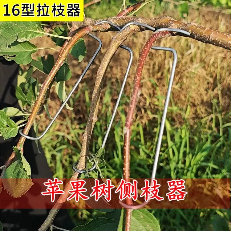 果树拉枝神器可用于主枝侧枝拉枝定型开角改进16型拉枝器定型器