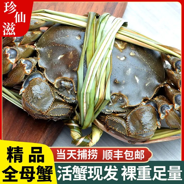 【活蟹现货】溱湖簖蟹3.1-2.8两全母蟹大闸蟹8只精品蟹鲜活顺丰包邮