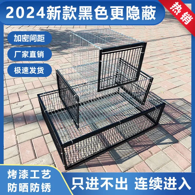 天落笼户外家用屋顶只进不出鸽子笼活络撞门信鸽自动门进鸽子神器