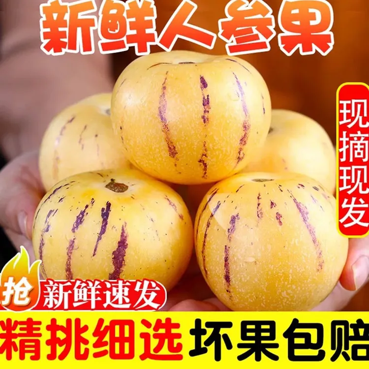 【双11树熟人参果】正宗云南石林人参果黄心圆果应季新鲜水果批发价