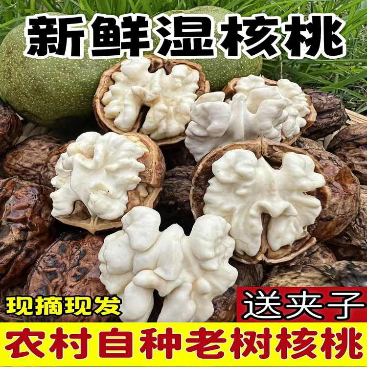 2025云南老树新鲜核桃孕妇新鲜湿核桃去青皮生核桃新鲜核桃明日发