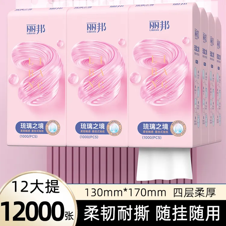 【10+2提】丽邦琉璃之境4层抽纸悬挂式纸巾1000张12提家用