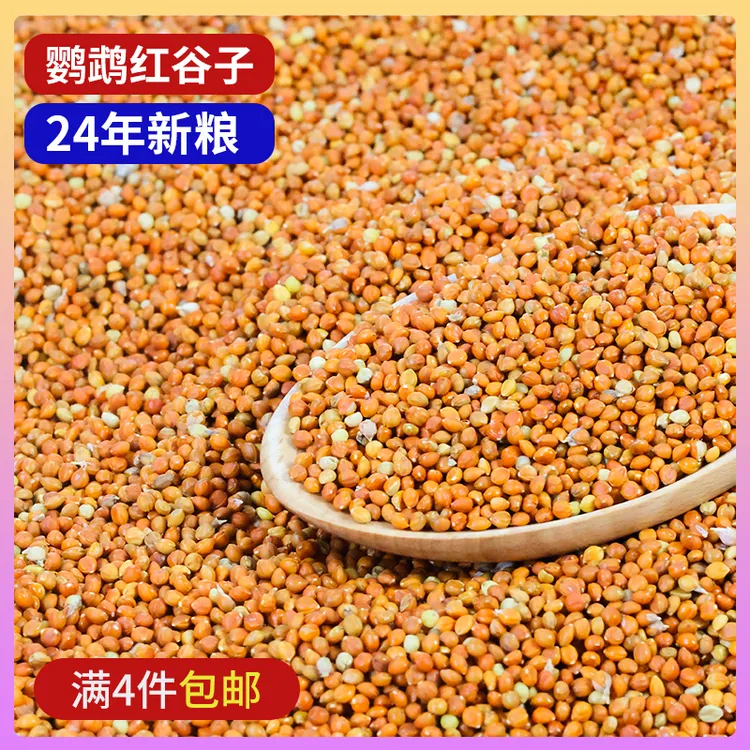 鹦鹉红谷子饲料主粮牡丹玄凤虎皮专用鸟粮混合粮粮食大全鹦鹉