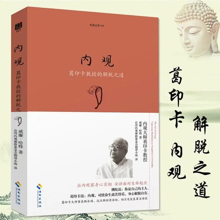 内观珍藏版生命之书修习内观以培养智慧达到解脱佛学哲学宗教