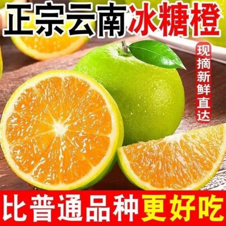 3【云南哀牢山冰糖橙】新鲜橙子细腻清甜肉质鲜嫩无渣皮薄肉厚现摘