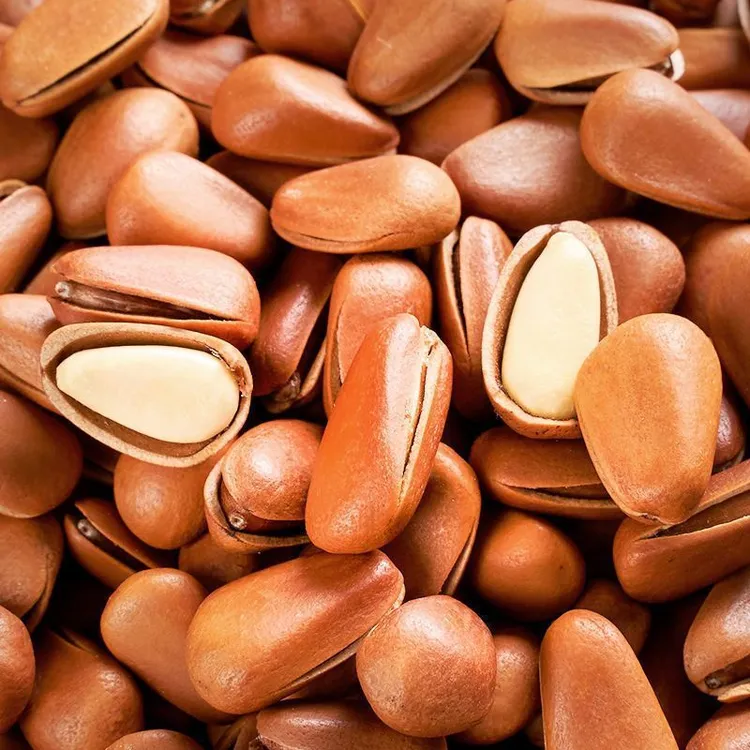 手剥开口大松子 果香浓郁粒粒精选颗颗饱满 清甜香脆美味