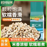 稻田绿洲新薏仁米贵州小薏米新货五谷杂粮苡仁米配红豆赤豆家用