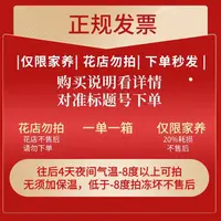 250号发一箱❤←对准号下单鲜花❤快递揽收后不支持退款