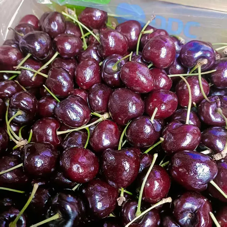 车厘子空运黑岩(J)1斤2斤5斤内附果径卡