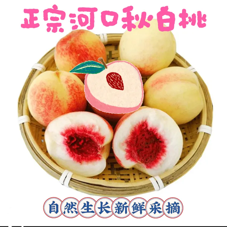【中通包邮】【树尖果】【净果4.5斤】正宗丹东秋白桃新鲜多汁产地直发