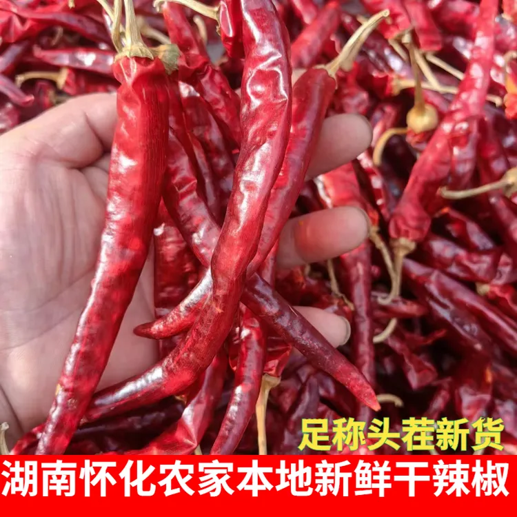 怀化特产挑选农家种植老品种新鲜干辣椒二荆条中辣特香干红辣椒粉
