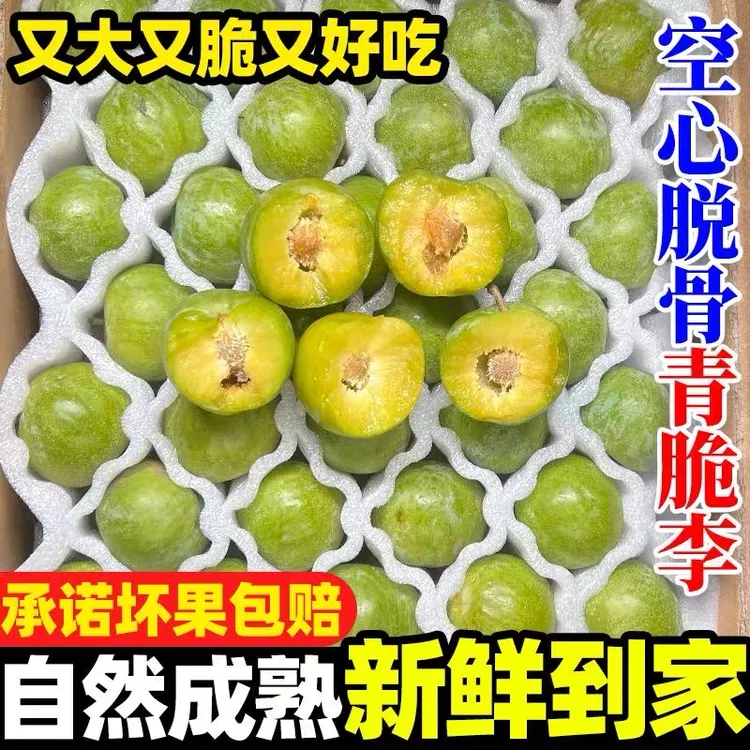（邮政空运）重庆巫山品种脱骨青脆李新鲜现摘口感酸甜清脆爽口李子