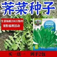  【买一送一】荠菜种子春冬季四季播种农家田园盆栽蔬菜种子