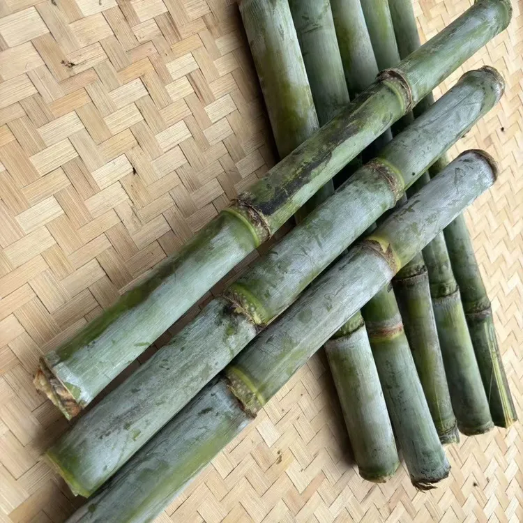 湖北天门本地青皮甘蔗新鲜应季水果皮薄松脆清甜多汁