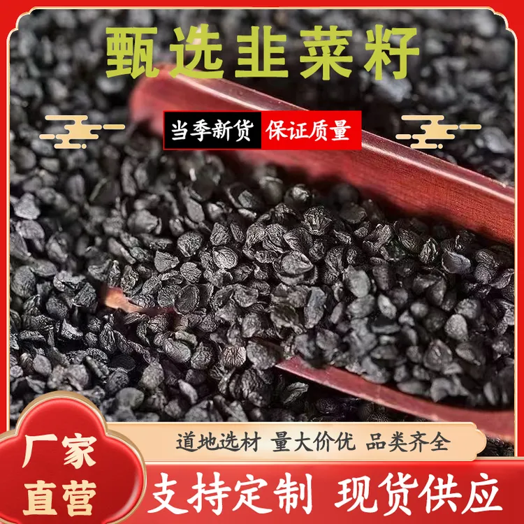 【炒熟】韭菜子精选韭菜籽干净免洗韭菜子搭配枸杞泡水喝叶菜类