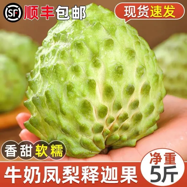 S1【顺丰速运】云南新鲜现摘释迦果凤梨番荔枝牛奶释迦果摩尼果大果