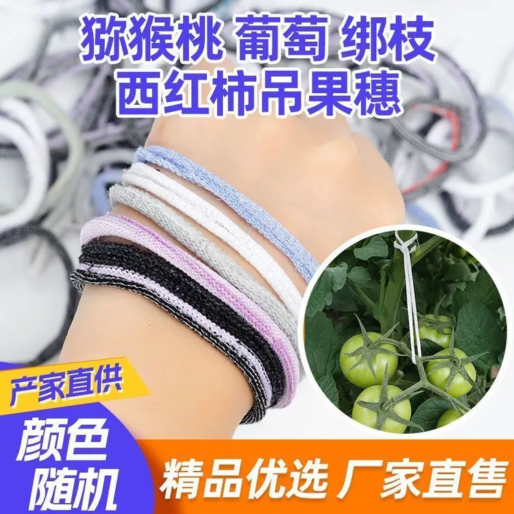 番茄猕猴桃绑枝神器葡萄西红柿水果绑枝绳圈大棚果穗弹力布圈农用