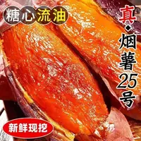 山东烟薯25号新鲜现挖糖心蜜薯香甜软糯可烤可蒸煮