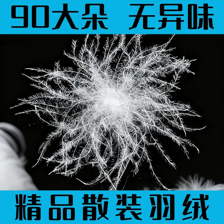 散装羽绒工厂直销直播打包90鸭绒95清水大朵98吊绒95鹅绒原料填充
