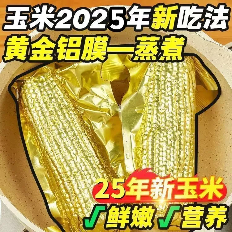 【试吃3支】25年头茬黄糯玉米金色铝箔包装现摘12支（整箱6斤以上）
