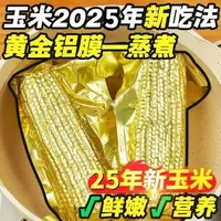 （试吃3支）25年头茬黄糯玉米金色铝箔包装现摘12支（整箱6斤以上）