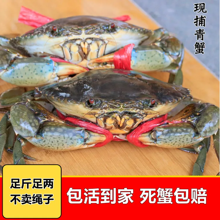 专属活发青蟹鲜活 母红膏蟹4-6两 福建红鲟螃蟹海蟹送礼 包肥包活包邮