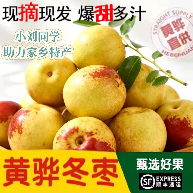 黄骅冬枣特级果礼品脆甜多汁当季新鲜水果