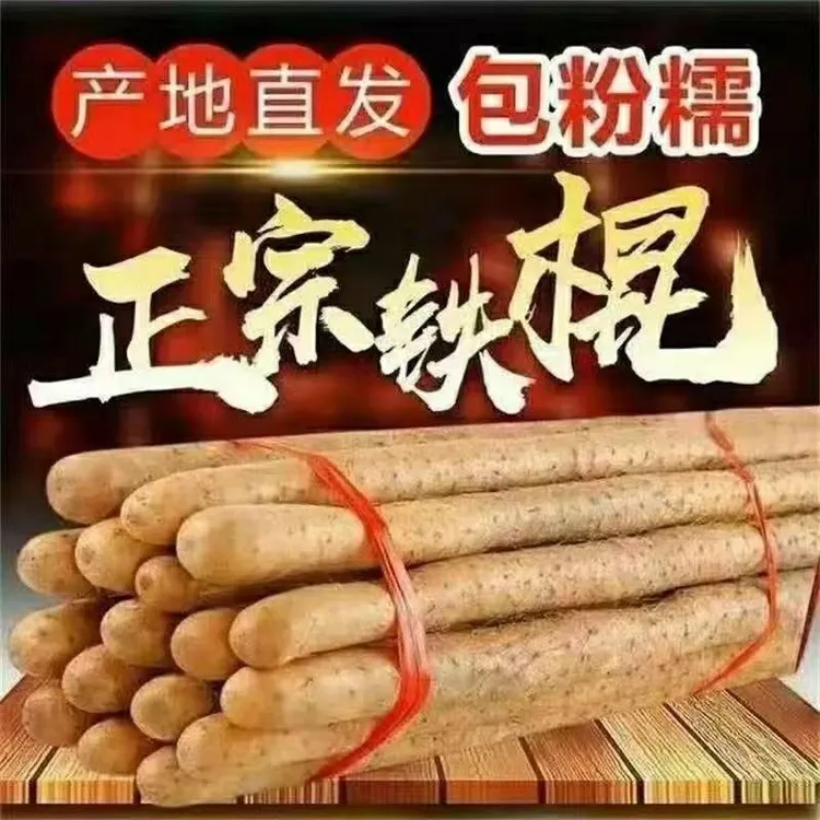正宗铁棍小白嘴山药淮山药新鲜种植产地直发带土5斤30-40cm