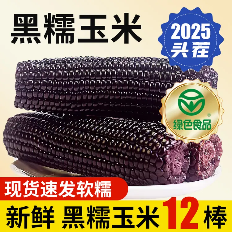 【绿色食品证书认证】黑糯玉米2025新货12棒真空280g-300g【试吃3根