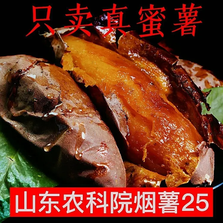 新鲜现挖糖心25号烟薯香甜流油软糯好吃的沙地番薯