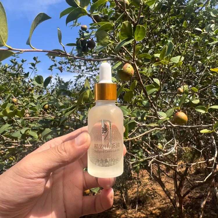 【精致山茶油】高山山茶籽油 温润 不油腻 30ml