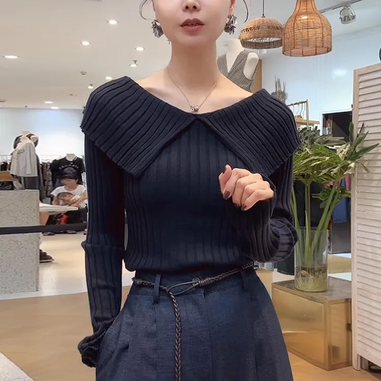 2025秋季新款女士黑色大翻领毛衣洋气减龄修身显瘦打底针织衫上衣