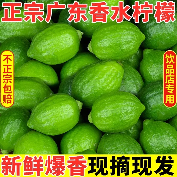 正宗广东香水柠檬一/二级果现摘现发奶茶店专用