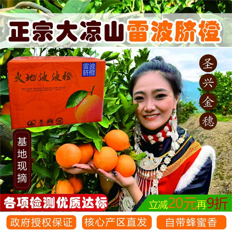 【雷波脐橙】四川大凉山国家地理标志产品 橙中爱马仕 品浓郁蜂蜜味